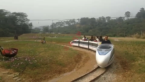 DSW-D58FB封閉燃油觀光小火車