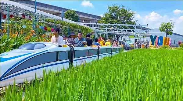 封閉車廂——DSW-D58FB封閉燃油觀光小火車