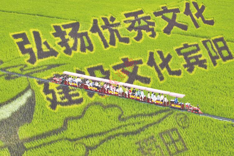 鄉村振興的十個關系