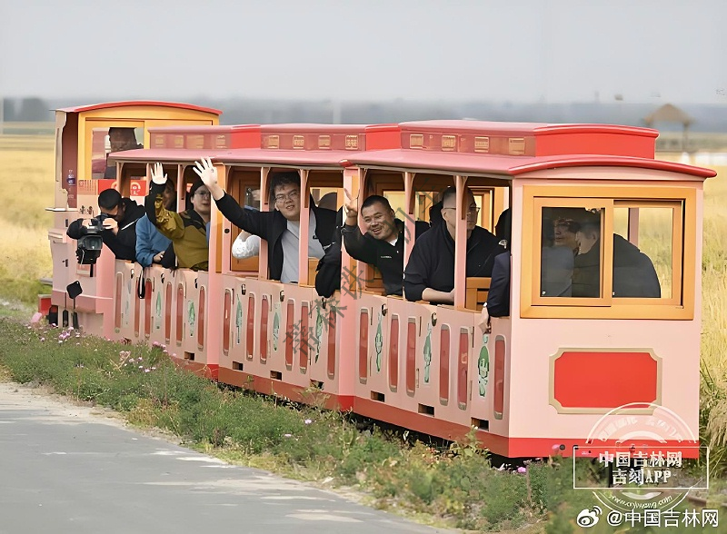 稻田小火車