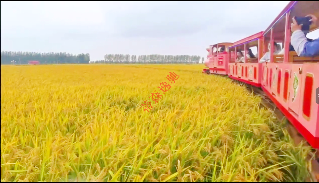 【吉林】穿梭在稻田的軌道觀光小火車